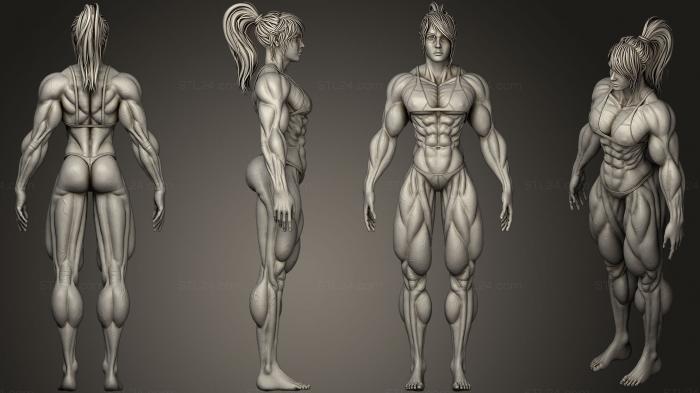 Anatomy of skeletons and skulls (Muscular Woman 02, ANTM_0915) 3D models for cnc